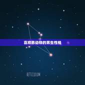 喜欢养动物的男生性格，喜欢养小动物的男人是什么性格？
