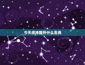 今天虎冲猴开什么生肖，12生肖属虎的和什么相冲