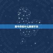 属牛的和什么属相不合，属牛和什么属相不配