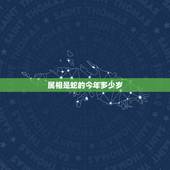 属相是蛇的今年多少岁，属蛇的人今年几岁了？