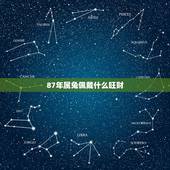 87年属兔佩戴什么旺财，87年属兔适合佩戴什么首饰
