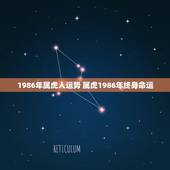 1986年属虎人运势 属虎1986年终身命运