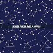 属相属狗和属兔的人好不好，属兔的和属狗的人在一起有财运吗？