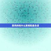属鸡的和什么属相配最合适，属鸡的男女属相婚配表