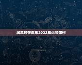 属羊的在虎年2022年运势如何，79年属羊终身贵人