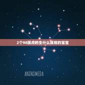 2个98属虎的生什么属相的宝宝，夫妻两人都属虎，生个什么属相的孩子好呢