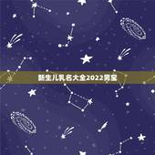 新生儿乳名大全2022男宝，22年孩子的小名