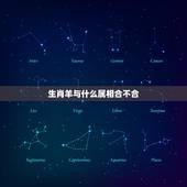 生肖羊与什么属相合不合，男兔和什么属相最配