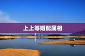 上上等婚配属相，属相是鸡与什么属相是上等婚