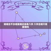 婚姻合不合看属相还是看八字 八字合婚只看属相吗