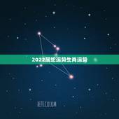 2022属蛇运势生肖运势，2022年属蛇的运势和财运