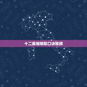十二属相婚配口诀视频，谁会看八字？运势？