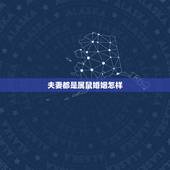 夫妻都是属鼠婚姻怎样 两个鼠婚姻怎样