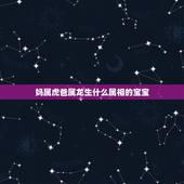 妈属虎爸属龙生什么属相的宝宝，属龙和属虎的生什么属相的孩子好
