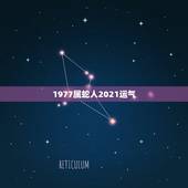 1977属蛇人2021运气，1977年属蛇女在2021年运程和运势