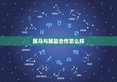 属马与属鼠合作怎么样，属老鼠和属马的合作好吗