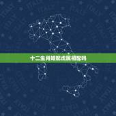 十二生肖婚配虎属相配吗，生肖配对姻缘查询虎与虎相配吗