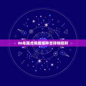 86年属虎佩戴哪种吉祥物招财，属虎戴什么吉祥物招财保平安