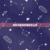 属蛇与属兔的婚配怎么样，男属兔和女属蛇婚姻配的好吗