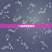 12星座专属精灵，十二星座守护花精灵王。