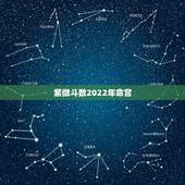 紫微斗数2022年命宫，2022年斗数运势