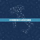89年属蛇是什么命五行属相，属蛇1989年五行是什么