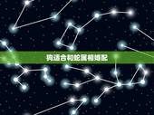 狗适合和蛇属相婚配，属狗的女生和什么属相最配