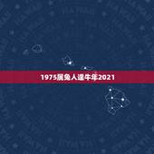 1975属兔人逢牛年2021，1975年属兔的人2021年运势怎样？男