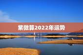 紫微算2022年运势，1986属虎女人2022年的运气