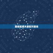 属相星座夫妻配对查询，十二生肖最佳的夫妻配对情况
