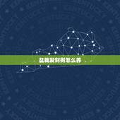 盆栽发财树怎么养，发财树该怎么养？