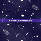 属狗和什么属相最配最合适呢，属鼠女和什么属相最配