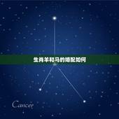生肖羊和马的婚配如何，生肖马和什么生肖配对好
