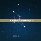 属虎女今天打麻将财运好吗，属虎人今日麻将运势如何