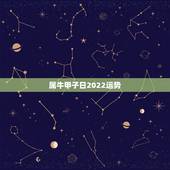 属牛甲子日2022运势，请问男85年属牛4月21日7点多出生的今年运势