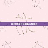 2021牛是什么命五行属什么，2021五行属什么年