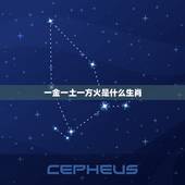 一金一土一方火是什么生肖，十二生肖分别属什么。(金木水火土)