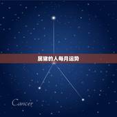 属猪的人每月运势，1983属猪人2022 年运势