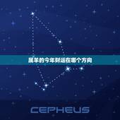 属羊的今年财运在哪个方向，属羊的财在什么方向？