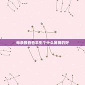 母亲猴爸爸羊生个什么属相的好，父亲属虎，母亲属龙，大女儿属猴，二胎生什