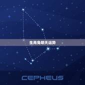 生肖兔明天运势，十二生肖的流年运势运程生肖兔