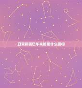 丑寅卯辰巳午未都是什么属相，子丑寅卯辰巳午未申酉戌亥哪些是阴