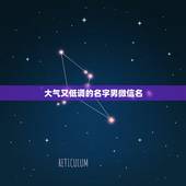 大气又低调的名字男微信名，稳重大气的男人网名