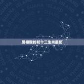 属相猴的和十二生肖最配，属猴的和什么属相最配