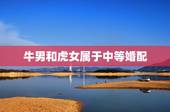 牛男和虎女属于中等婚配，属虎女和属牛男婚配不和怎么办