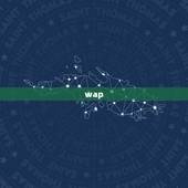 wap.99166免费算八字，生辰八字取名字 wap.99166.co