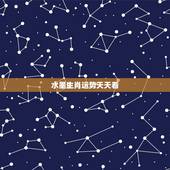 水墨生肖运势天天看，看生肖运势准吗
