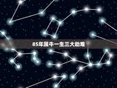 85年属牛一生三大劫难 属牛最命苦的时辰