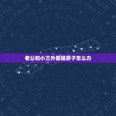 老公和小三外面租房子怎么办，老公带小三在外租房子，我要用什么方法去捉奸