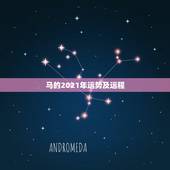 马的2021年运势及运程，78年的马2021年运势及运程
